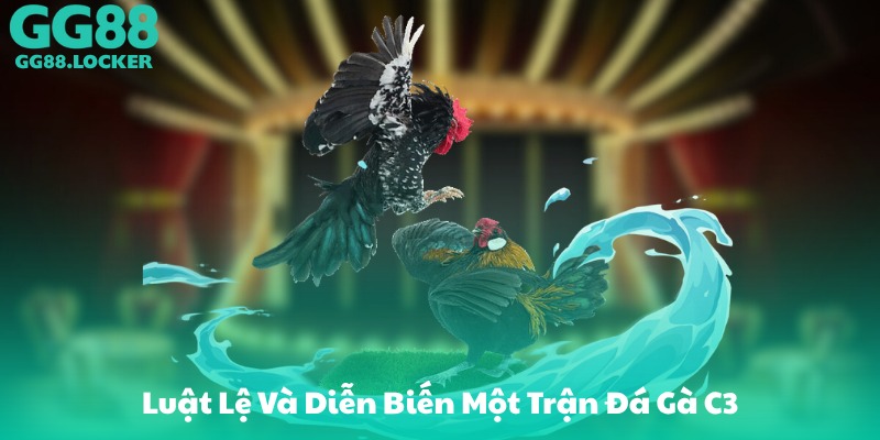 Luật Lệ Và Diễn Biến Một Trận Đá Gà C3