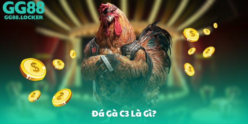 Đá Gà C3 Là Gì?