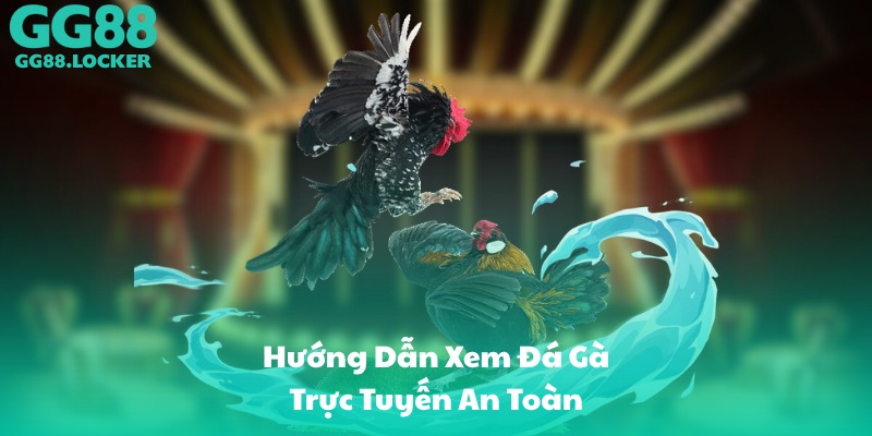 Hướng Dẫn Xem Đá Gà Trực Tuyến An Toàn