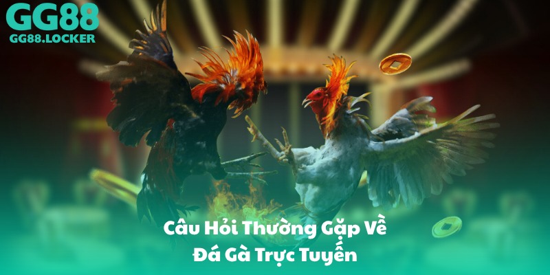 Câu Hỏi Thường Gặp Về Đá Gà Trực Tuyến