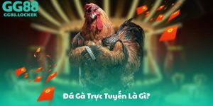 Đá Gà Trực Tuyến Là Gì?